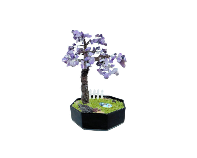 business office reception decor bonsai